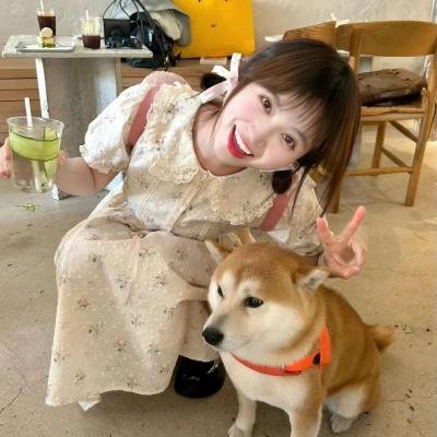 独来独往的风车