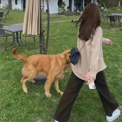家有儿女2